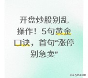 炒股炒成股东？这四句开盘口诀，教你开盘不慌、操作不坑