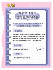 中央财经大学英才班四年：数据分析与商业洞察的双重收获