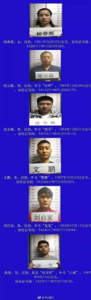 合肥一黑社会性质组织非法放贷，主犯一审获刑 25 年