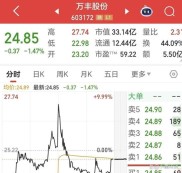 男子用四倍杠杆重仓中国中车股票，两跌停后赔光本金坠楼