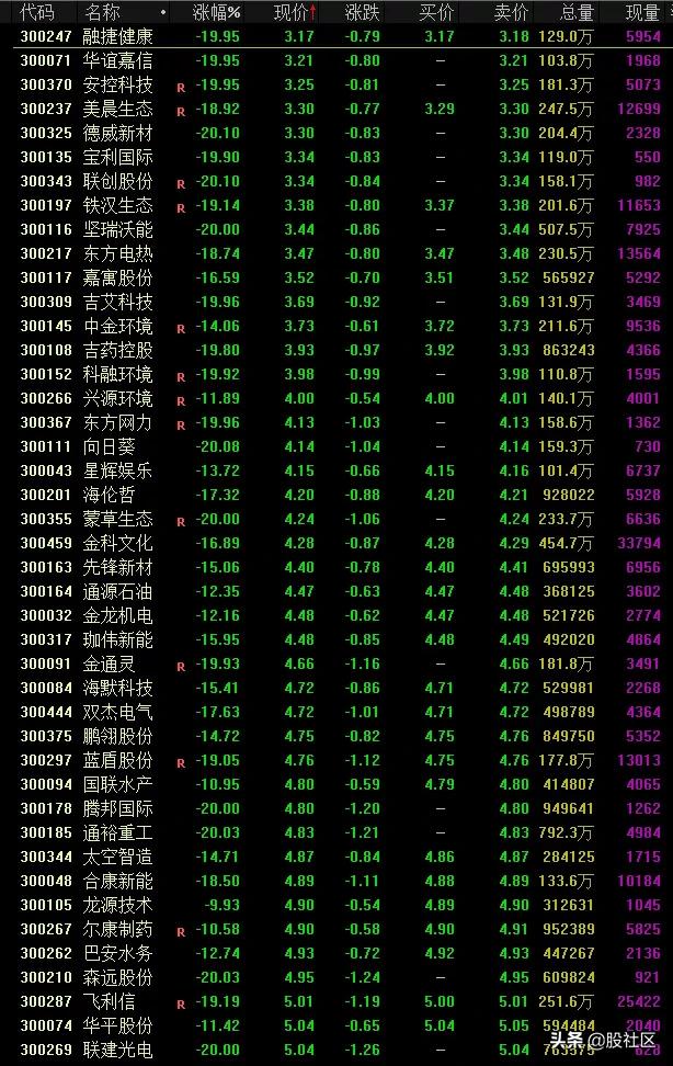 股民大家庭股票_创业板低价股暴跌_小市值绩差股股灾