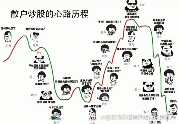 巴菲特投资成功案例_股票市场亏损定律_牛顿炒股为什么亏