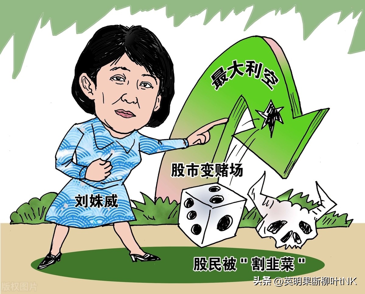 新股民入市全书 pdf 下载_新股民股市亏损_A股市场过山车效应