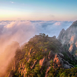股指期货配资 广州_股票期权是什么意思_配资炒股被骗怎么办