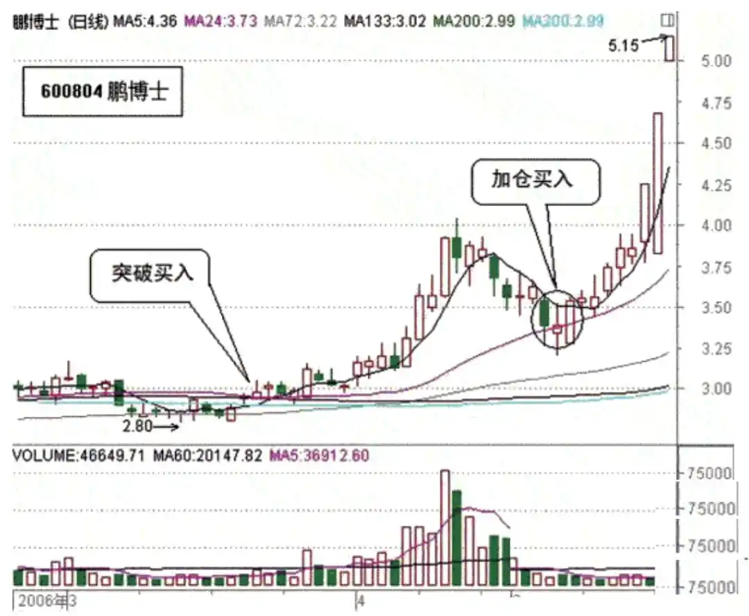 中国新股民实战操作大全_斯托克代尔生存之道_抱有希望但不要过于乐观