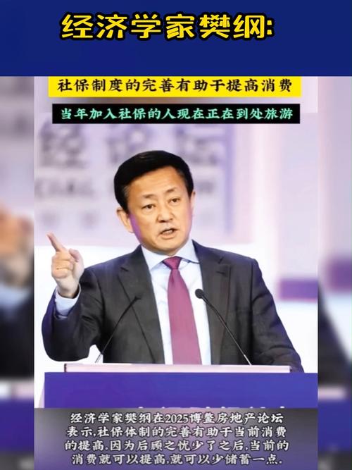 2025博鳌房地产论坛_2025年度中国消费者金融能力调查报告_樊纲谈提振消费与宏观经济稳增长
