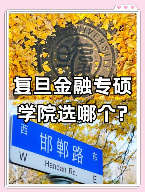 复旦大学金融专硕招生简章_复旦 金融 研究生_复旦大学金融专硕考试难度分析