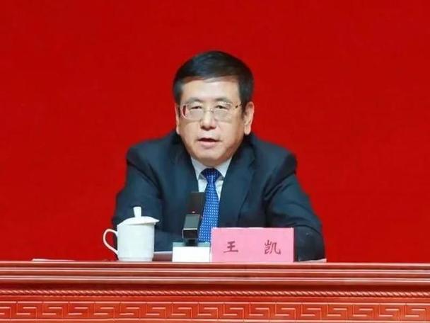 河南省金融办官网_王凯兼任河南省委金融委主任_河南省委金融委揭牌