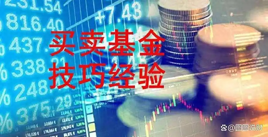 新基民买基金_新手基金避坑指南_基金投资常见误区