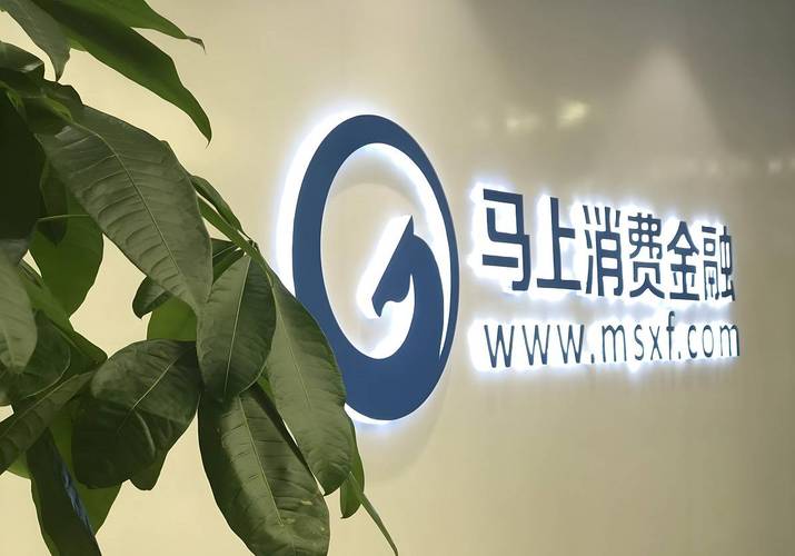 消费金融牌照_消费金融_马上消费