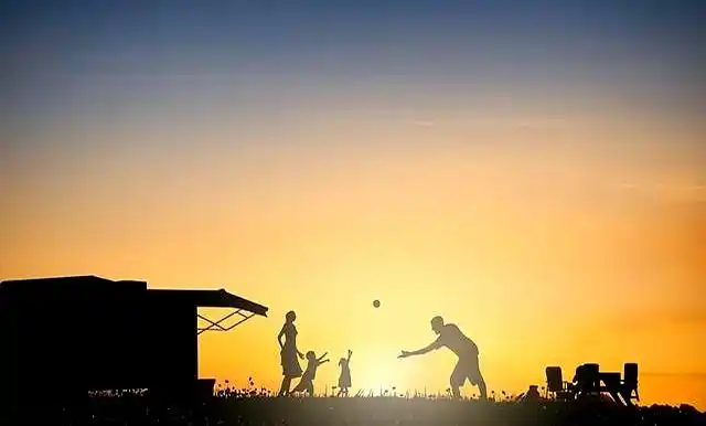 职业股民做T技巧分享_16年职业股民做T秘诀实战心得_股民老张交易手官网