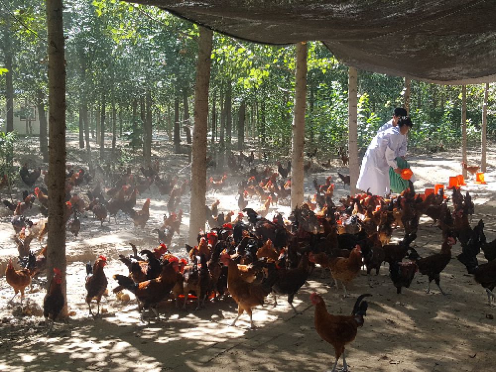 京东电商精准扶贫_贫困县农产品电商销售增长_京东互联网金融战略 规划