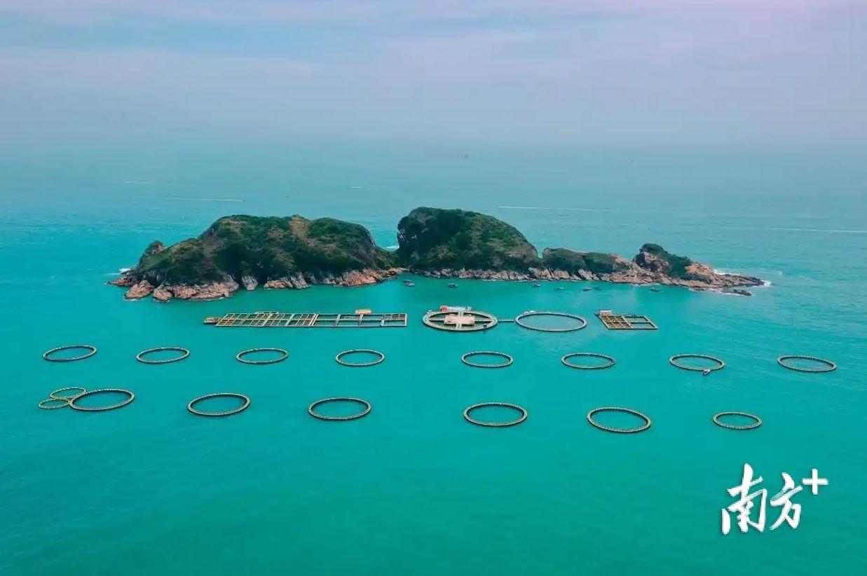 金融供给服务质效双升_广东金融_广东银行业保险业发展情况