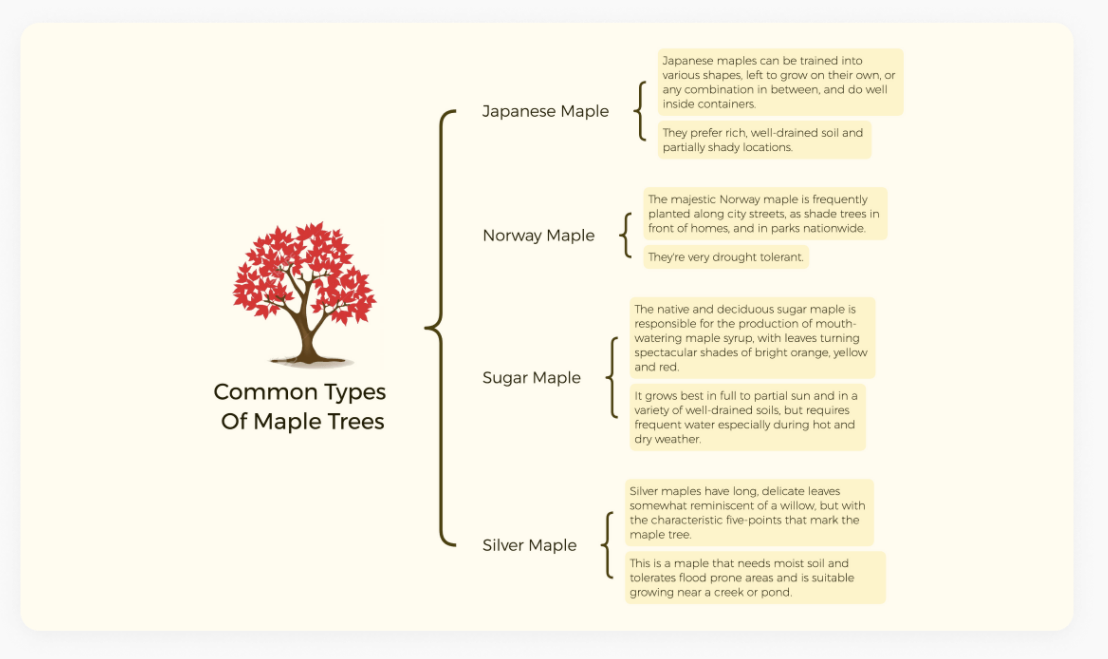 免费在线思维导图工具_思维导图模板网站_免费益盟炒股软件