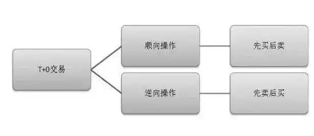 炒作技巧入门新股民必备提高本_股票T+0操作_只做一只股票