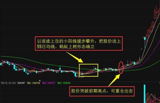 新股民股市致胜必读书_鳄鱼投资之道_鳄鱼生存策略