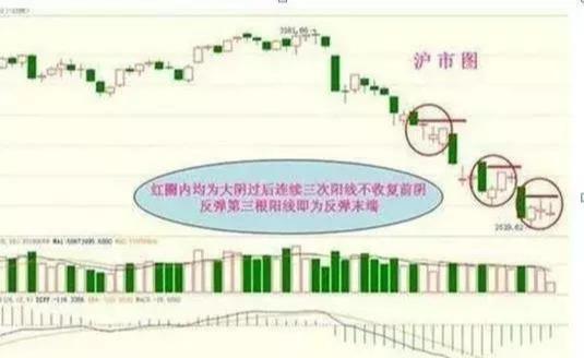 新股民股市致胜必读书_鳄鱼投资生存之道_投资市场理性耐心策略