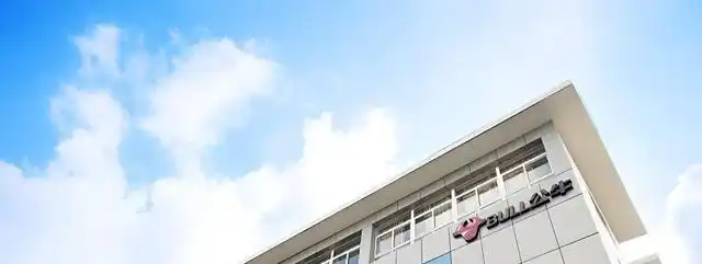 公牛插座业务下滑原因_公牛集团股价下跌_公牛炒股 倒闭