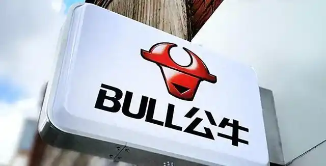 公牛业绩下滑内外因素_公牛炒股 倒闭_公牛股价腰斩原因分析