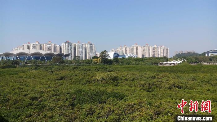 防城港红沙核电机组_防城港金融中心_防城港工业体系完善