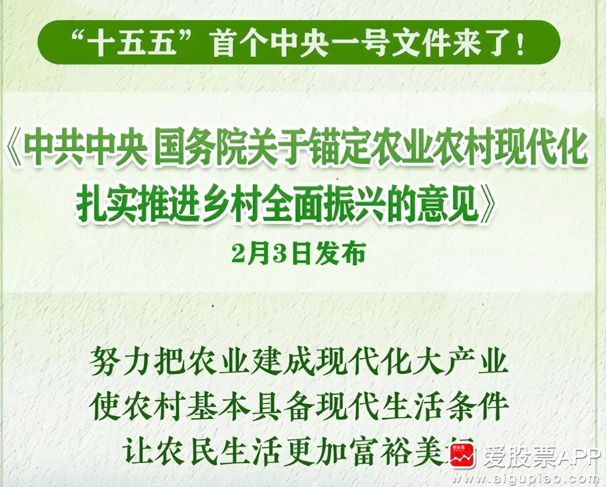 新股民入市须知_中央一号文件农业股_A股反弹行情