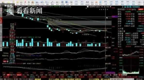 虚假股票交易平台_炒股看什么新闻好_荐股诈骗